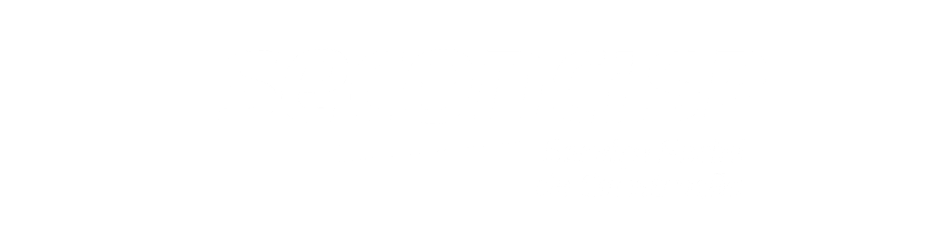 Cliente VIP Solutions